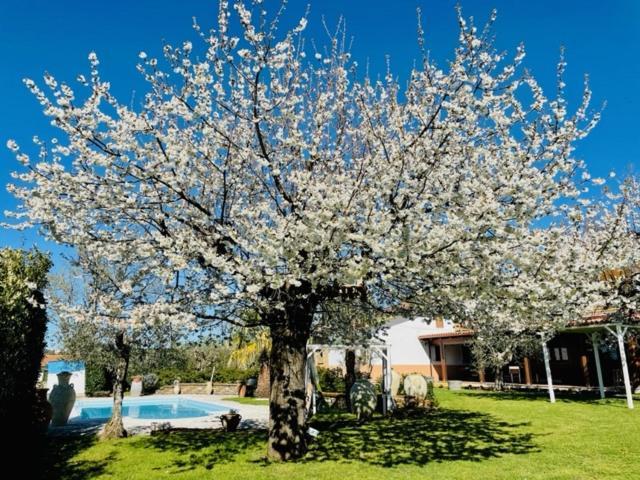 Villa "Casa Al Chiazzullo" Mirabella Eclano Extérieur photo