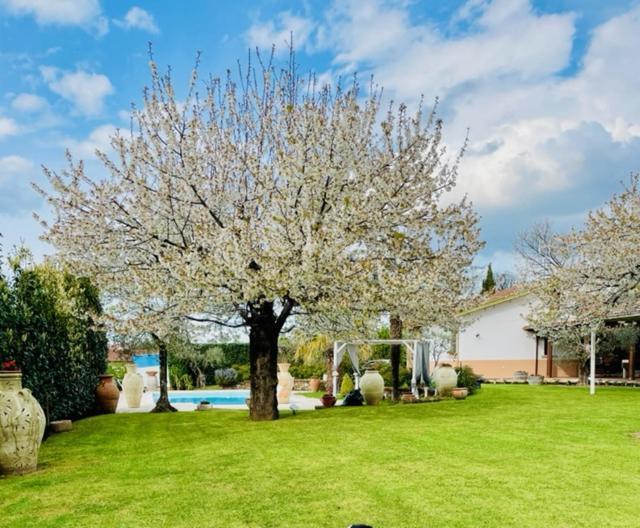 Villa "Casa Al Chiazzullo" Mirabella Eclano Extérieur photo