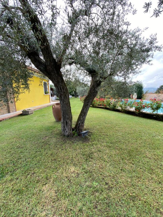 Villa "Casa Al Chiazzullo" Mirabella Eclano Extérieur photo